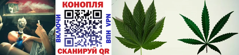 Бошки Шишки Amnesia  дарнет шоп  Кострома 